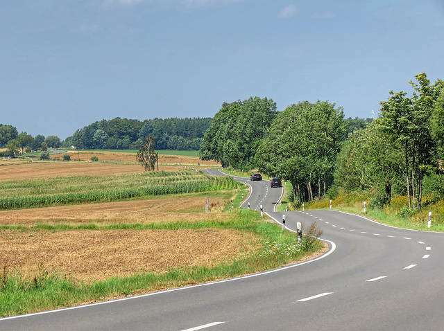 Gückelsbergstraße Richtung Cossen bei Burgstädt