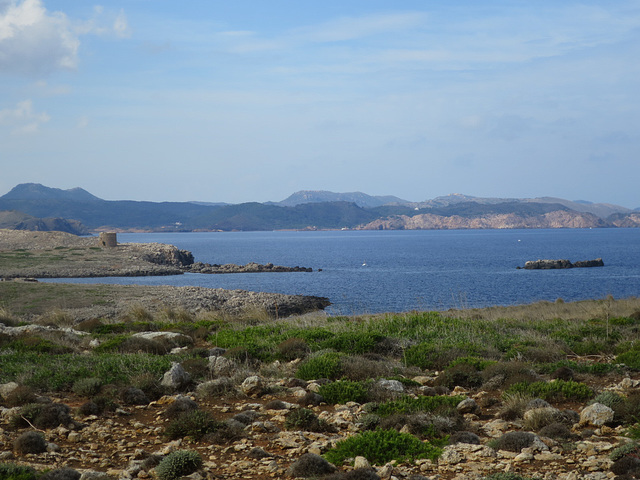 Cap de Cavalleria