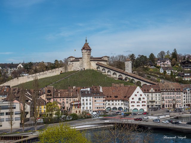 Wehrburg Munot  über der Stadt Schaffhausen