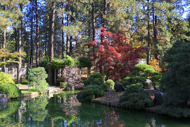 Japanese Garden