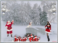 Noël blanc*********