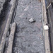 nyw[13] - Willington Waggonway {5 of 5}