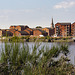 River Leven (Laowa 1.33 Front Anamorphic Adapter (Amber) attached to a Tamron 85mm f/1.8 SP Di VC USD)