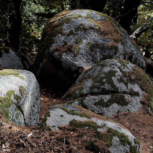 blocs de Granit en boule, à regarder en grand