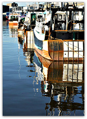 un matin au port