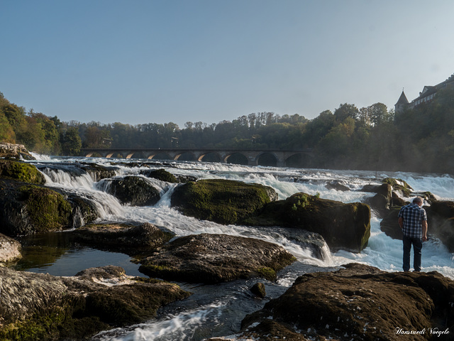 Am Rheinfall 2