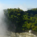 Zambia - Zimbabwe, Left Bank of the Zambezi River downstream from Victoria Falls