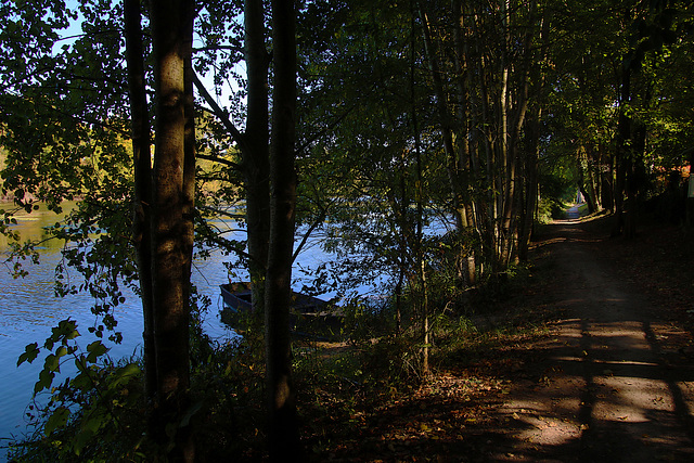 Ce petit chemin ...qui sent la noisette.....