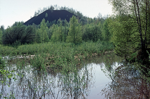 Mine cairn Oranje Nassau 4 Heerlen