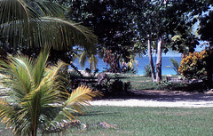 Als man den Strand noch fast für sich alleine hatte in Jamaica 1984