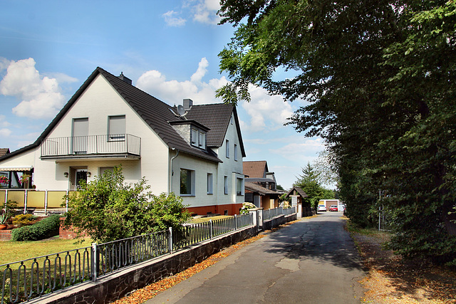 Alter Kohlenweg (Sprockhövel-Bossel) / 16.08.2020