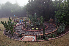 Cactus Garden progress 2/1/15