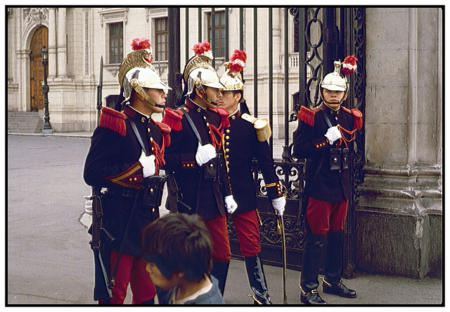 Gardes du palais présidentiel