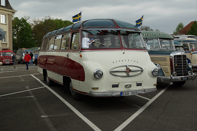 Omnibustreffen Sinsheim/Speyer 2017 466