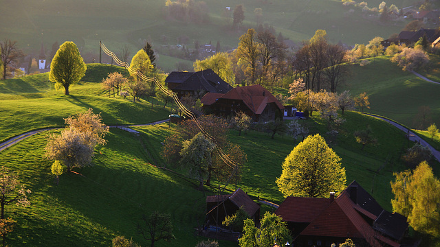 Im Abend-Gegenlicht (© Pipo63)