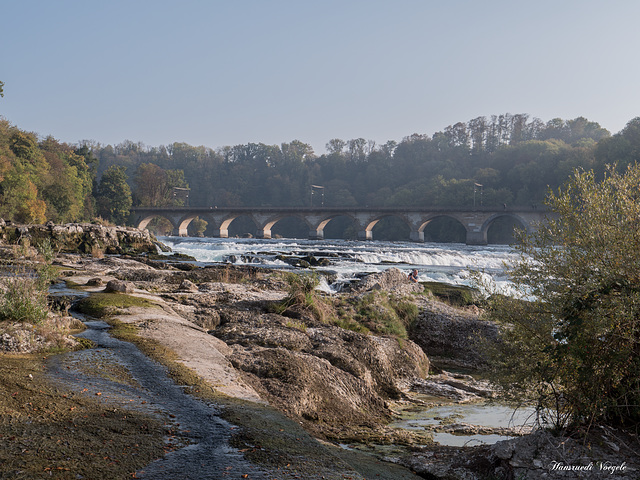 Am Rheinfall 3