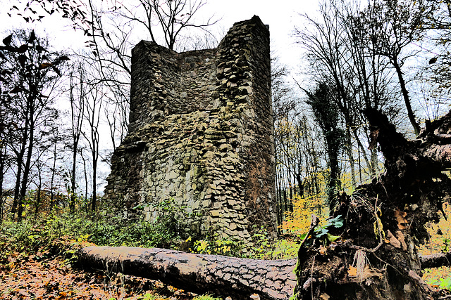 Burgruine Forstenberg