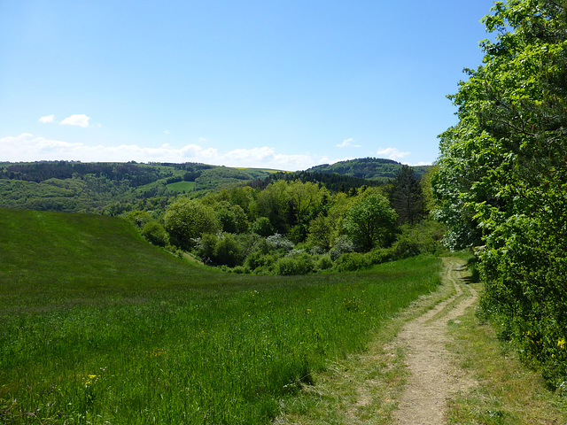 DE - Volkesfeld - Auf dem Traumpfad Heidehimmel