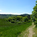 DE - Volkesfeld - Auf dem Traumpfad Heidehimmel