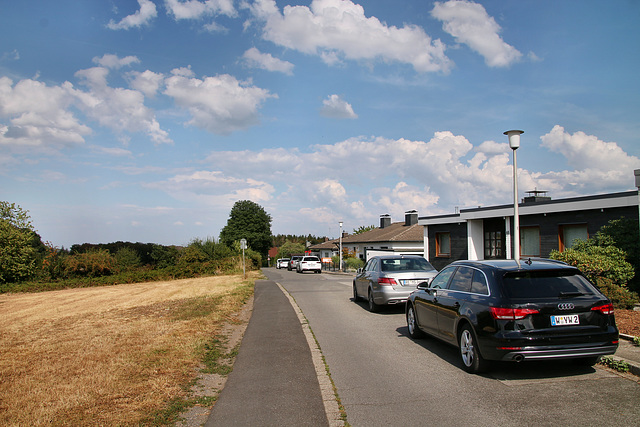 Alter Kohlenweg (Sprockhövel-Bossel) / 16.08.2020