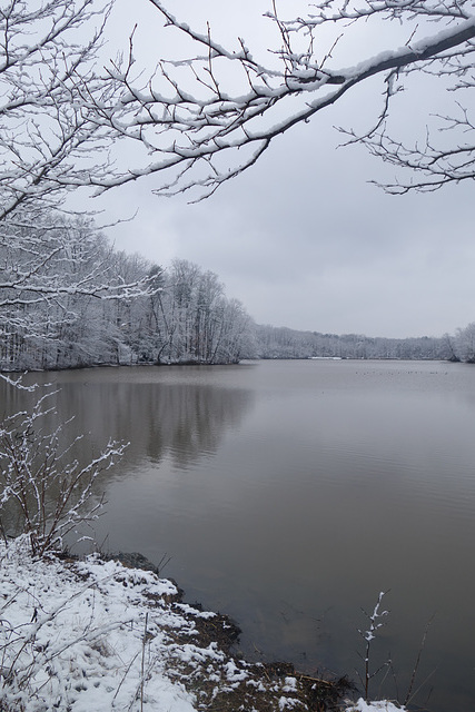 Snow covered shore line