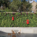 Living wall with post boxes
