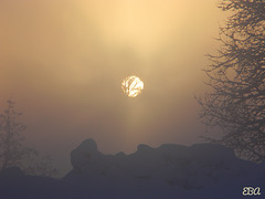 The Sun in Fog