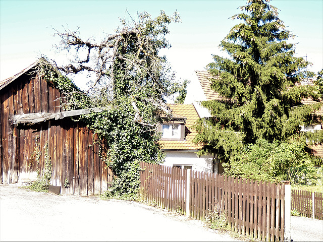 Idylle in Leonberg