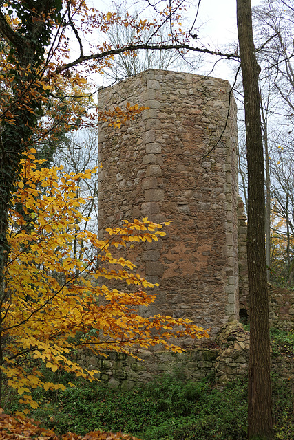 Burg Forstenberg