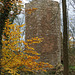 Burg Forstenberg