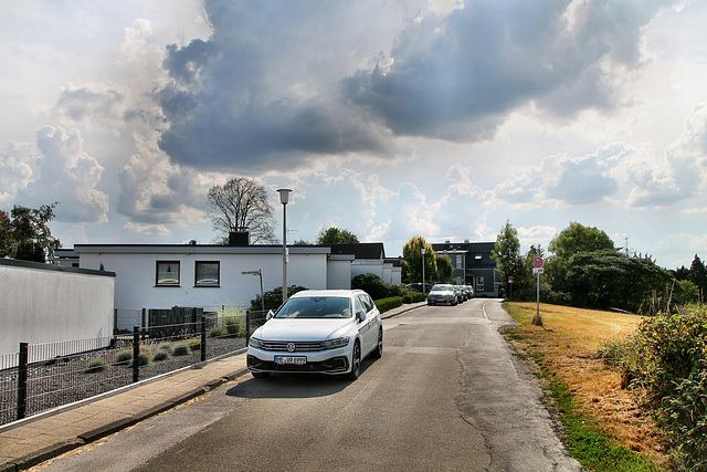 Alter Kohlenweg (Sprockhövel-Bossel) / 16.08.2020