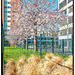 Frühling - - -