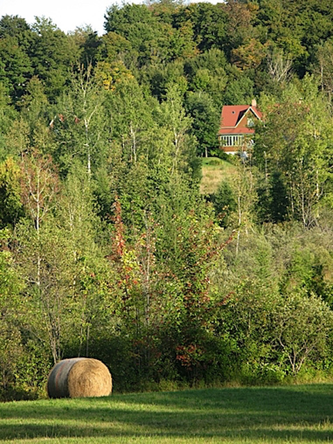 Vue du voisin arrière