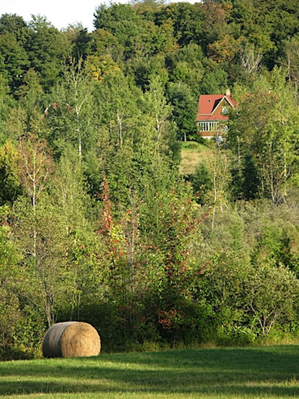 Vue du voisin arrière