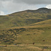 Sous le Plomb-du-Cantal