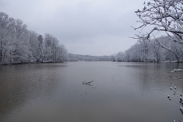 Lake in winter