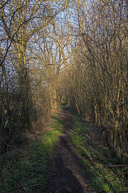 20150406 7616VRAw [D~SHG] Hohlweg, Baggersee, Rinteln