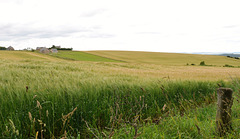 Scotland St. Cuthbert's Way