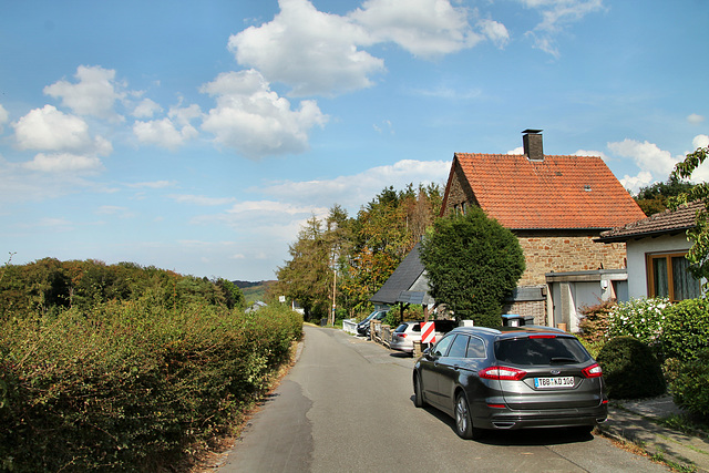 Alter Kohlenweg (Sprockhövel-Bossel) / 16.08.2020