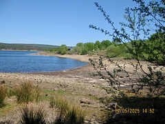 View across Kielder