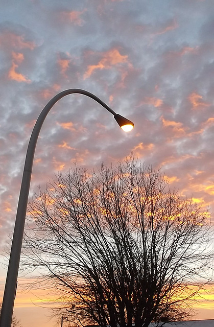 Lampadaire levant / Streetlamprise