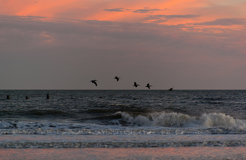 seaside sunset