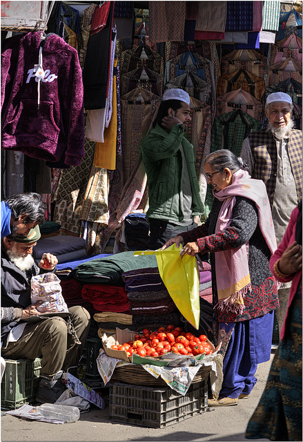 Shimla Shop