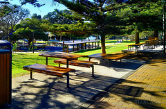 You choose You choose