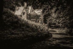 Forgotten Cottage
