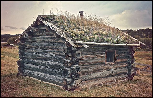 Trappers Cabin