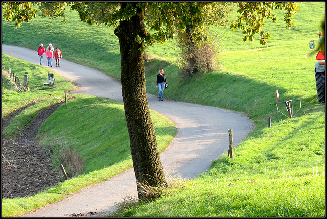 Healthy Walk