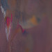 DSCF8884
