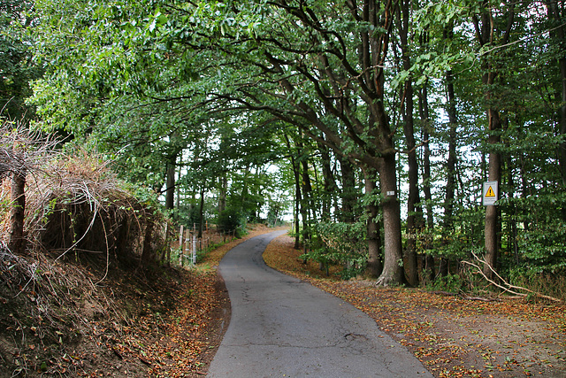 Alter Kohlenweg (Sprockhövel) / 16.08.2020