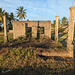 Ruines malaisiennes en toute simplicité / Simple Malaysian ruins
